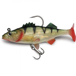 STORM WILDEYE LIVE PERCH 3...