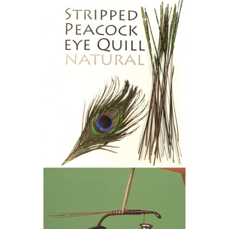QUILL DE PAVO REAL DESBARBADO Y TEÑIDO OLIVE