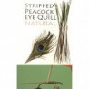 QUILL DE PAVO REAL DESBARBADO Y TEÑIDO OLIVE