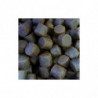COPPENS PELLET PREMIUM SELECT HALIBUT 20 mm 20 kg