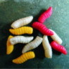 ENTERPRISE TACKLE IMITATION MAGGOTS COLORES MIXTOS