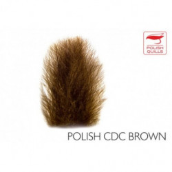 PLUMAS CDC POLISH 0,50 grs...