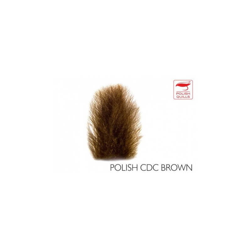 PLUMAS CDC POLISH 0,50 grs BROWN