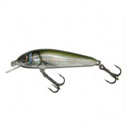 SALMO MINNOW 6F HBL