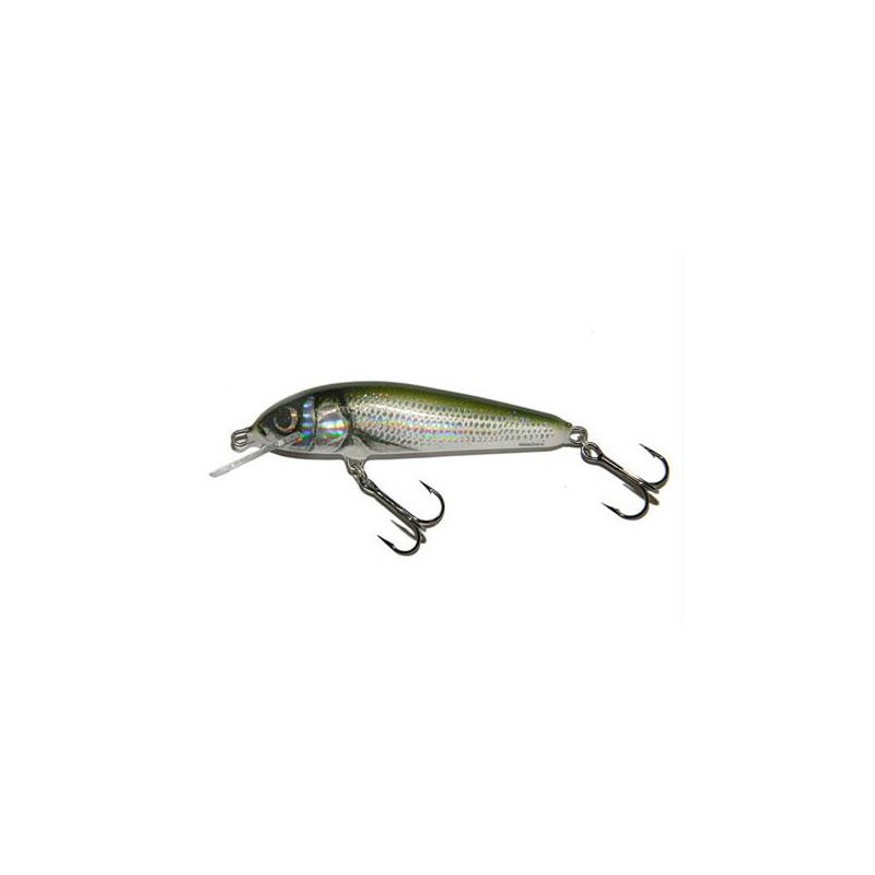 SALMO MINNOW 6F HBL