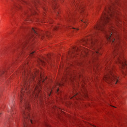 CDC PETITJEAN 1 GR. N? 15 RED