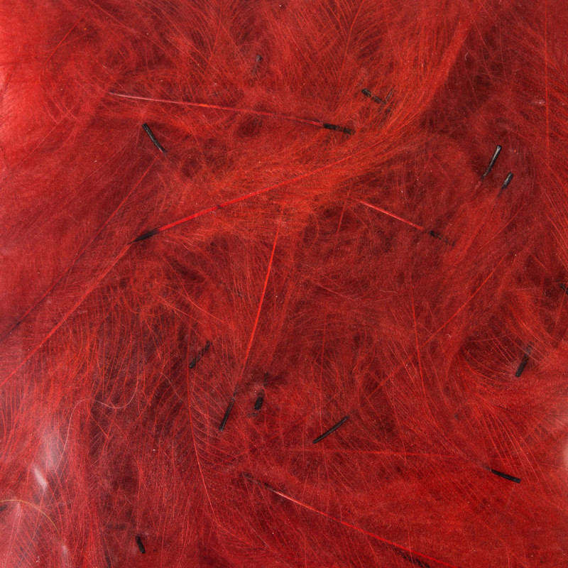 CDC PETITJEAN 1 GR. N? 15 RED