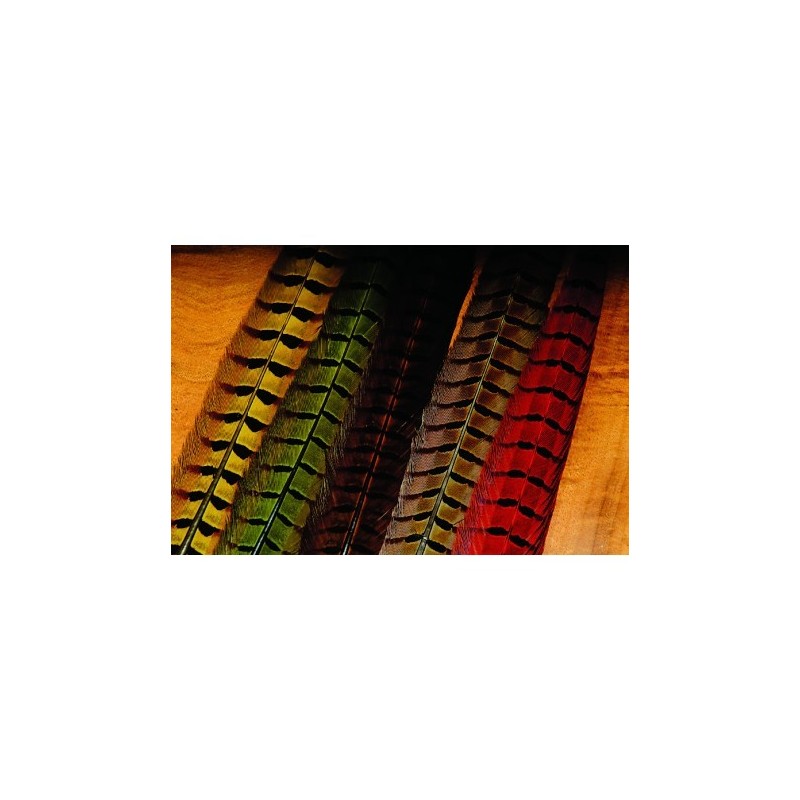 PLUMAS DE COLA DE FAISAN MACHO NATURAL