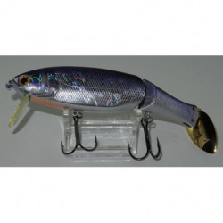 LUCKY C. REAL CALIFORNIA AURORA C. BLUE SHAD