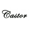 CASTOR