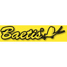 BAETIS